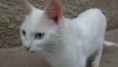 /album/fotogaleria/a21052011876-jpg/